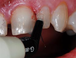 Kurtzman Failing Fig04 Kurtzman Failing Fig04