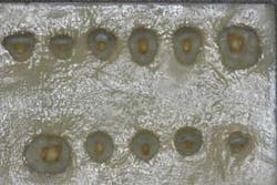 16apr7bcsimmons02 16apr7bcsimmons02