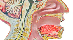 Content Dam Diq Online Articles 2016 04 Anatomy Neck Thumb Content Dam Diq Online Articles 2016 04 Anatomy Neck Thumb