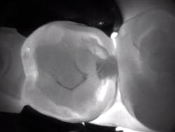 1606defav P01 1606defav P01