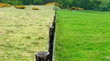 Content Dam Diq Online Articles 2016 05 Morgan Art 1