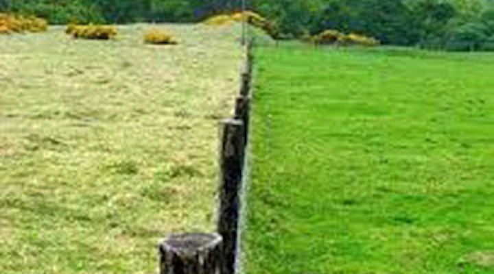 Would You Be Happier At Another Dental Practice Is The Grass