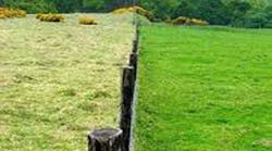 Content Dam Diq Online Articles 2016 05 Morgan Art 1 Content Dam Diq Online Articles 2016 05 Morgan Art 1