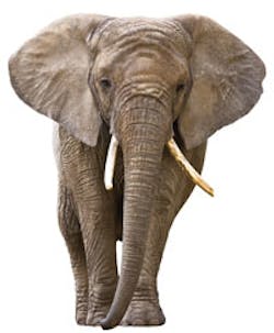 Kelschcdhainside Kelschcdhainside