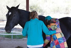 1605apxpiz P06 1605apxpiz P06