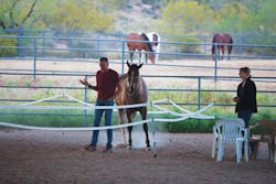 1605apxpiz P07 1605apxpiz P07