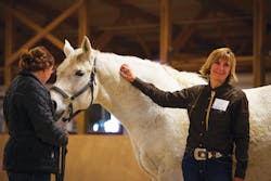 1605apxpiz P08 1605apxpiz P08