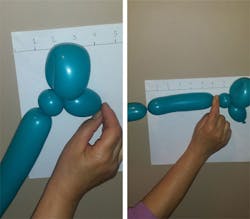 3 Twist Dog Neck Frontlegs Figs3and4 3 Twist Dog Neck Frontlegs Figs3and4