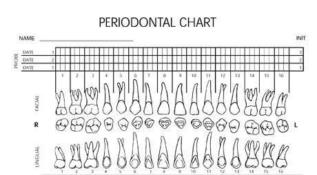 Downloadable forms: Periodontal charting form | DentistryIQ