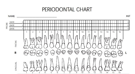 Downloadable Forms Periodontal Charting Form Dentistryiq