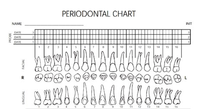 perio-charting-form-printable-printable-forms-free-online