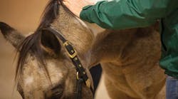 Content Dam Diq Online Articles 2016 06 1605apxpiz P02 Thumb Content Dam Diq Online Articles 2016 06 1605apxpiz P02 Thumb