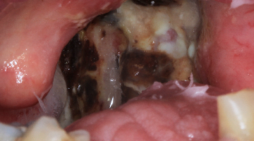 Content Dam Diq Online Articles 2016 09 16sept1bcsimmons Ednotet