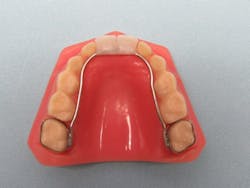 Imitation Groper Imitation Groper