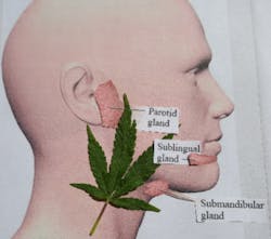 Kaufmaninsidemsh Kaufmaninsidemsh