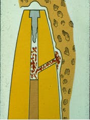 16oct6bczuroff07revised 16oct6bczuroff07revised