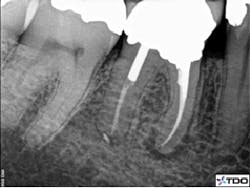 16oct6bczuroff08 16oct6bczuroff08