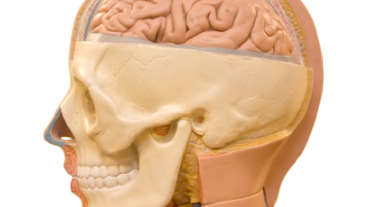 Content Dam Diq Online Articles 2016 10 Human Brain Thumb