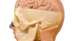 Content Dam Diq Online Articles 2016 10 Human Brain Thumb Content Dam Diq Online Articles 2016 10 Human Brain Thumb