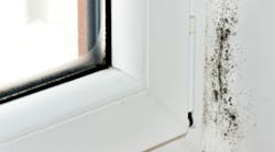 Content Dam Diq Online Articles 2016 10 Mold 1 Content Dam Diq Online Articles 2016 10 Mold 1