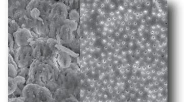 Content Dam Diq Online Articles 2016 11 16nov3bcmusikantt