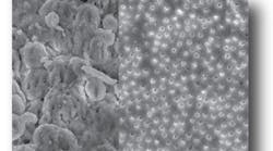 Content Dam Diq Online Articles 2016 11 16nov3bcmusikantt Content Dam Diq Online Articles 2016 11 16nov3bcmusikantt