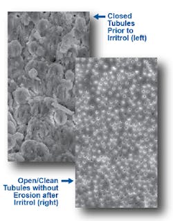 16nov3bcmusikant01 16nov3bcmusikant01