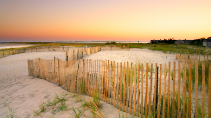 Capecodmsh