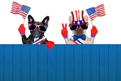Dental Election Dogs 2