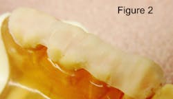 Figure2alternatemsh Figure2alternatemsh