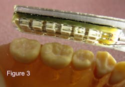 Figure3alternatemsh Figure3alternatemsh