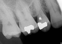 17feb2bcsimmons P05 17feb2bcsimmons P05