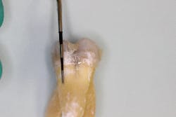 17feb2bcsimmons P10 17feb2bcsimmons P10