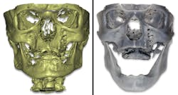 Bencharit Whitley 3d Fig02a02b Bencharit Whitley 3d Fig02a02b