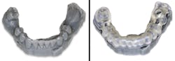 Bencharit Whitley 3d Fig03a03b Bencharit Whitley 3d Fig03a03b