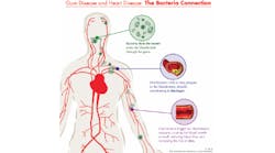 Content Dam Diq Online Articles 2017 02 17feb2bcgregg Thumb Content Dam Diq Online Articles 2017 02 17feb2bcgregg Thumb