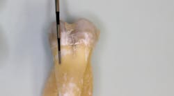 Content Dam Diq Online Articles 2017 02 17feb2bcsimmons Thumb Content Dam Diq Online Articles 2017 02 17feb2bcsimmons Thumb