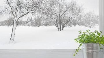 Content Dam Diq Online Articles 2017 02 Snow Day 1