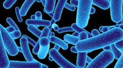 Content Dam Diq Online Articles 2017 03 Blue Bacteria Dreamstime Thumb Content Dam Diq Online Articles 2017 03 Blue Bacteria Dreamstime Thumb