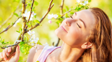 Content Dam Diq Online Articles 2017 04 Steinmindfulnessthumb