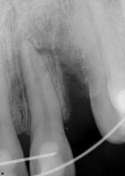 17jun1bcsimmons P02 17jun1bcsimmons P02