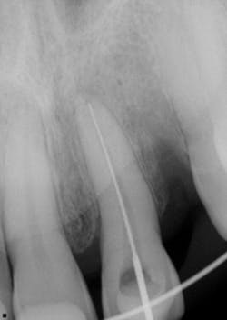 17jun1bcsimmons P06 17jun1bcsimmons P06