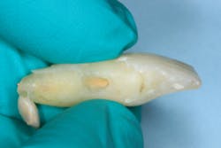 17jun1bcsimmons P10 17jun1bcsimmons P10