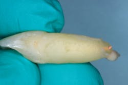 17jun1bcsimmons P11 17jun1bcsimmons P11