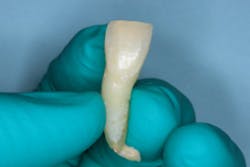 17jun1bcsimmons P12 17jun1bcsimmons P12