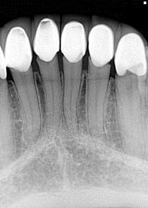 17may4bcednote P02 17may4bcednote P02