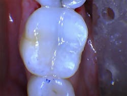 17may4bcweintraub P05 17may4bcweintraub P05