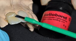 Fagin Temps02 Fig03 Fagin Temps02 Fig03