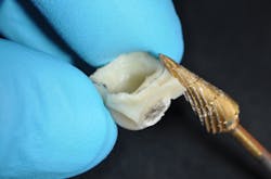 Fagin Temps02 Fig04 Fagin Temps02 Fig04