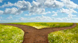 Content Dam Diq Online Articles 2017 08 Forked Path Diqthumb